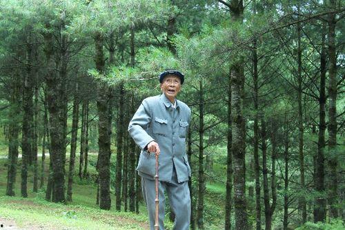 杨善洲在线观看,传承红色基因，谱写时代华章